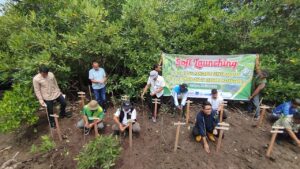 Wakil Wali Kota Langsa Muhammad Haikal Alfisyahrin dan Forest For Life - Indonesia melakukan Penanaman Manggrove Bersama
