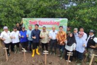 Wakil Wali Kota Langsa Muhammad Haikal Alfisyahrin dan Forest For Life - Indonesia melakukan Penanaman Manggrove Bersama